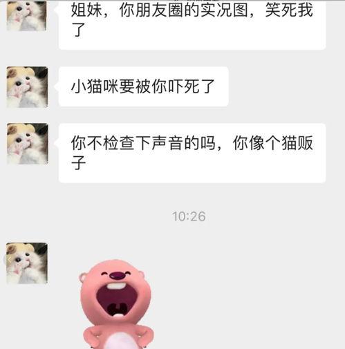 免费吃瓜微信聊天,微信聊天带你领略网络社交新风尚